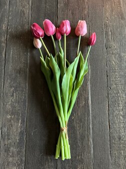 Tulpen | kunsttulpen Fuchsia 